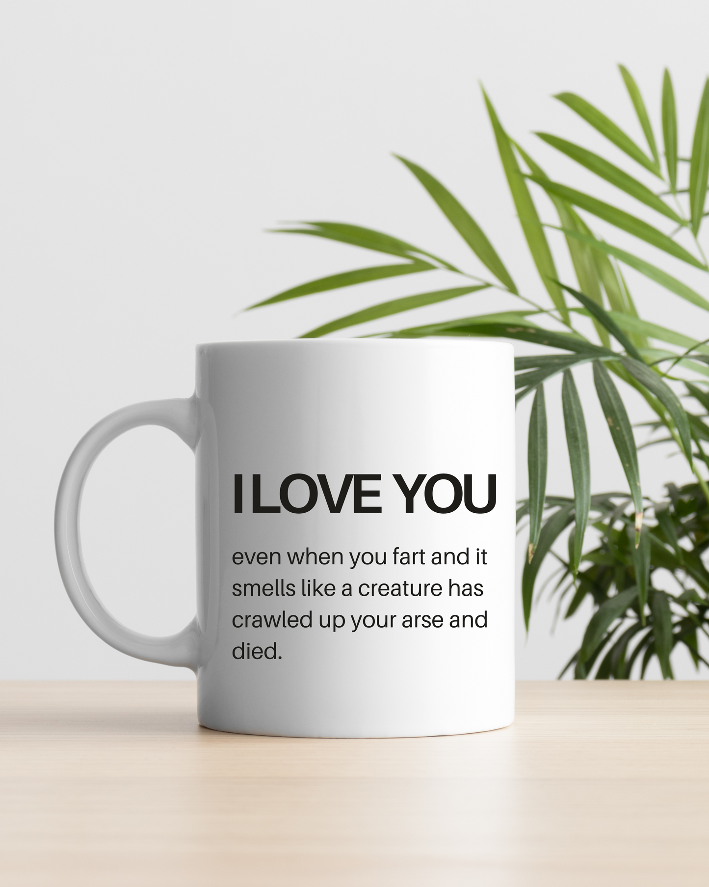 I Love You even when you fart mug – 11oz Ceramic Mug